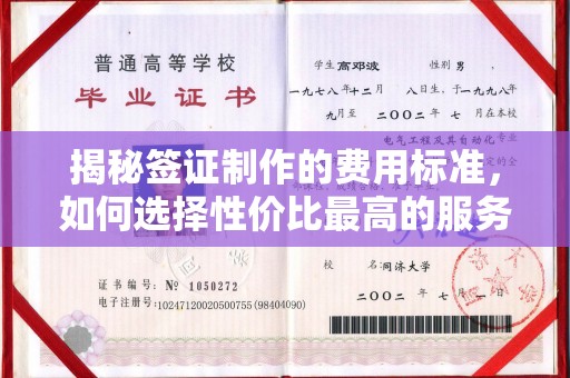凤阳揭秘签证制作的费用标准，如何选择性价比最高的服务？