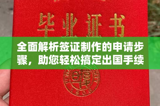 凤阳全面解析签证制作的申请步骤，助您轻松搞定出国手续