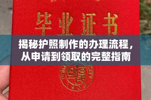 凤阳揭秘护照制作的办理流程，从申请到领取的完整指南