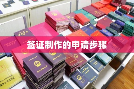 凤阳签证制作的申请步骤