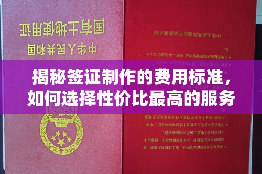 凤阳揭秘签证制作的费用标准，如何选择性价比最高的服务？